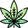 Daily Stash Cannabis