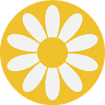 DaiseyMac Flowers
