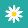 Daisy Chain Nursery
