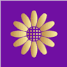 Daisy Family Health in Goodyear - Direct Primary Care