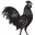 Dam Chicken