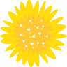 Dandelion Patch | Alternative Provision