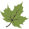 Darby Creek Dental