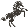 Dark Horse Salon & Spa