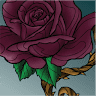 Dark Rose Salon