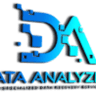 Data Analyzers Data Recovery Services