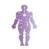 Davis Physical Therapy LLC