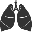 Dayton Lung & Sleep Medicine Inc.