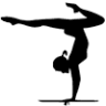 All Around Academy of Gymnastics