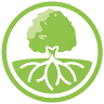 Deep Roots School