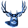 Deer Park School District 82