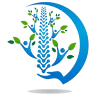 Deines Chiropractic Clinic