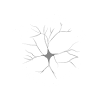 Dra. Denise Ferreira França, Neurologista