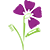 Dental Flowers