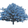 Southridge Dental Group