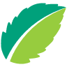 Mint Dental of Franklin