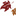 Amber Leaf Family Dental