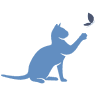 Denver Cat Hospital