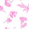Depilevy Estética Avançada