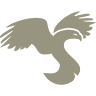 Der Steinadler