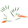Discover the Danube Delta
