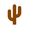 Desert Wonder Tours