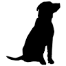 Devid Label