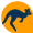 DFM
