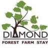 Diamond Forest Farm Stay