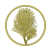 Die Kleine Zirbe