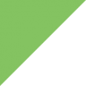 Digi International