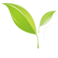 Digital Leaf