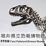 Fukui Prefectural Dinosaur Museum
