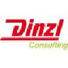 Dinzl Consulting