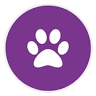 Dip, Snip and Clip Dog Grooming