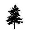 DirectCare Cremations