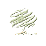 Disabatino Supply LLC