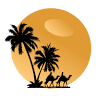 Discover Morocco Tours
