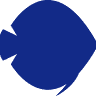 Discus Texel