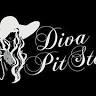Diva Pit Stop