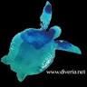 Diveria Diving Center