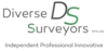 Diverse Surveyors