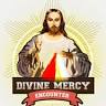 Divine Mercy Encounter