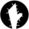 D.MooD Parrucchieri