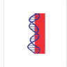 Laboratório DNA Center - Touros
