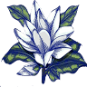 Dobie Funeral Home