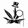 Doc Morrison - Medical Marijuana Evaluations