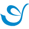 Dody Group Pty Ltd.