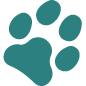 Dog Bite Insurance