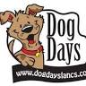 Dog Days Secure Field
